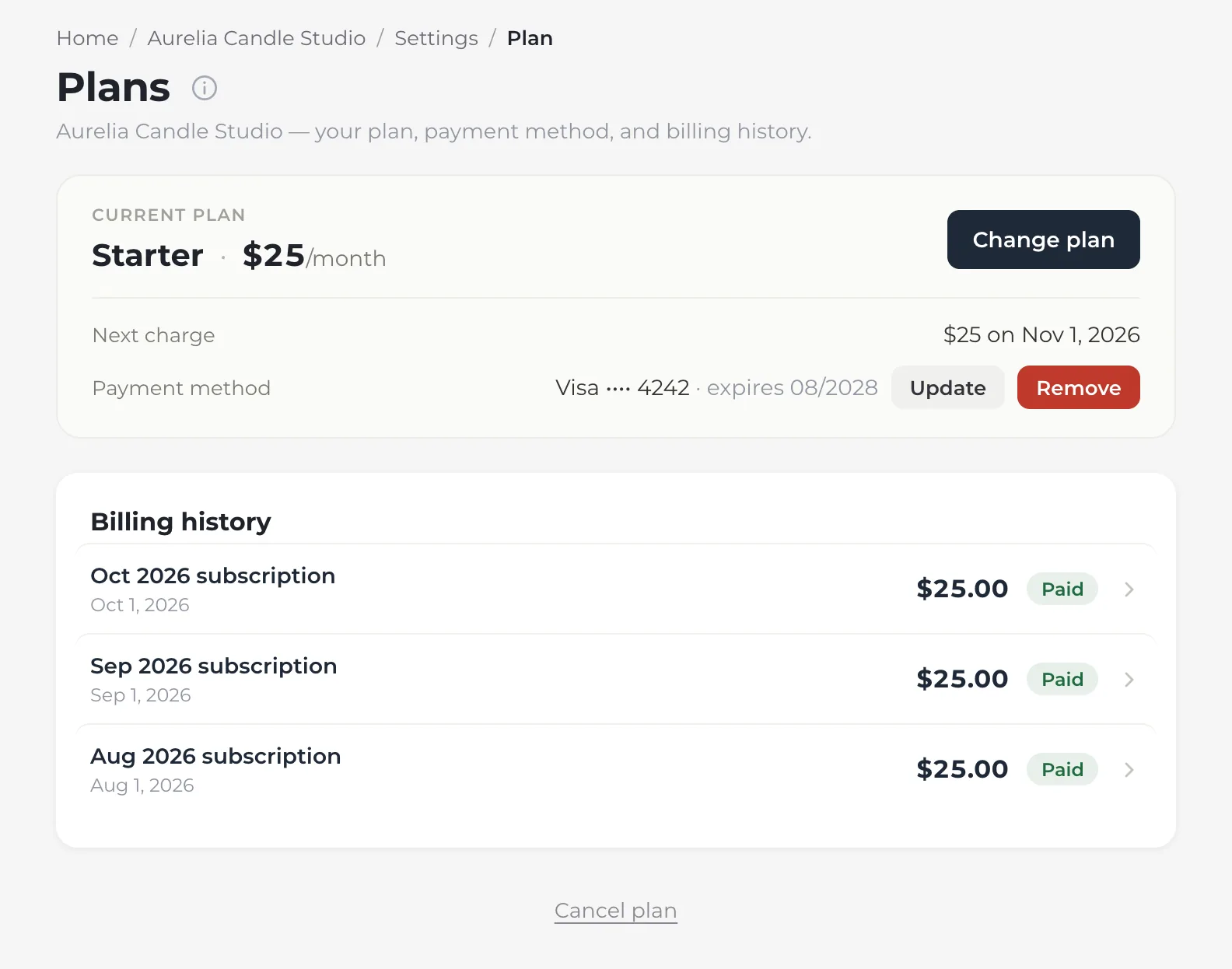 A site's Plan page: Starter at $25 a month with a Change plan button, the next charge of $25 on November 1, a Visa card ending 4242 that expires 08/2028 with Update and Remove, and a billing history of three paid $25 monthly invoices.