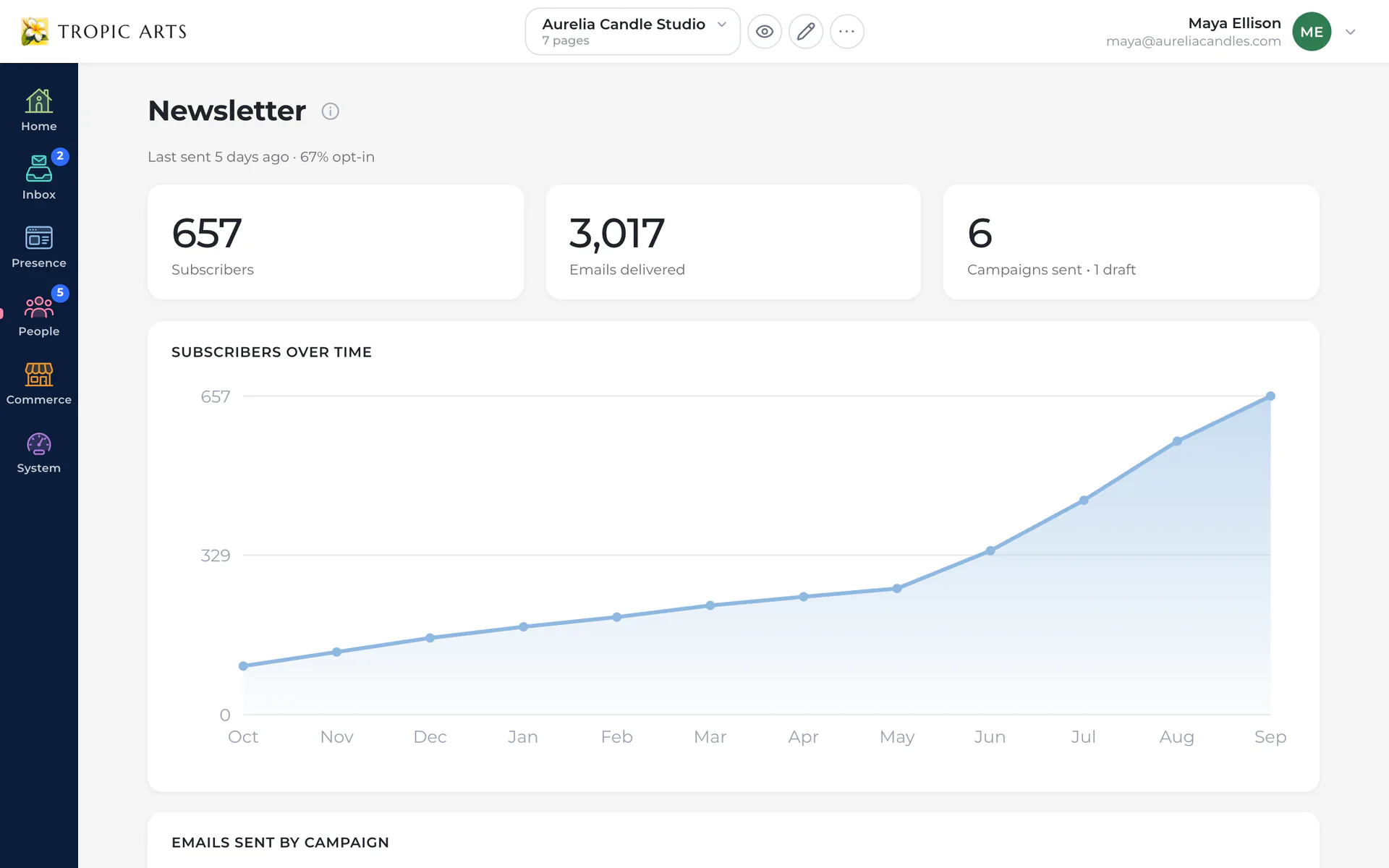 The newsletter overview: subscribers, emails delivered and campaigns sent, above a chart of the subscriber list growing month by month.