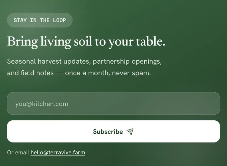 A newsletter signup block on a storefront, with a headline, an email field, and a subscribe button in the site's own colors.