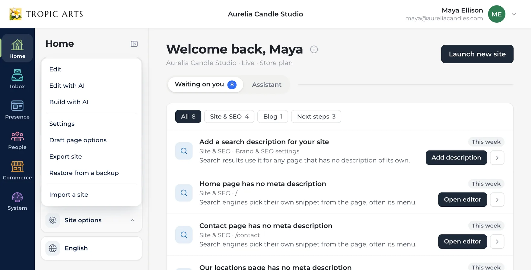 Home with the Site options menu open on the Home panel, listing Edit, Edit with AI, Build with AI, Settings, Draft page options, Export site, Restore from a backup, and Import a site.